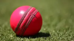 ஈடன் கார்டனில் 'பிங்க்' நிற திருவிழா