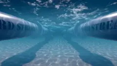 الأثر البيئي لتسرب الغاز من خط أنابيب "نورد ستريم"