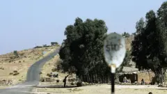 Zaalambassaa