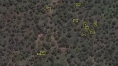 Des éléphants en image satellite