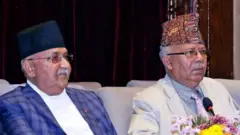 एमाले