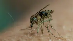 પ્રતીકાત્મક તસવીર