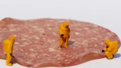 Salama