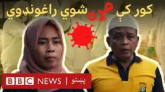 په اندونیزیا کې د کوویډ-۱۹ نوې پېښې تر هند او برازیل ډېرې شوې چې په دې سره د نوې ډلټا بڼې تر ټولو ډېر ځپل شوی هېواد دی.