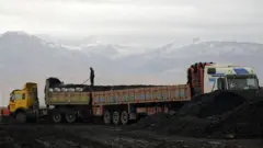 ټرانسپورت