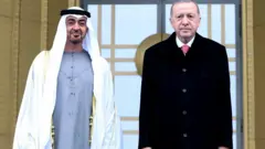 بن زايد وأردوغان