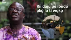 Aabo lasiko ọdun