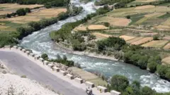 رود هیرمند