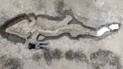 10 metre uzunluğundaki fosil büyük ölçüde bütünlüğünü koruyor