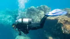 nobel, sel, anemia, kanker