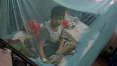 মশারির ভেতরে এক শিশু।