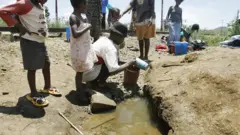 Úmúaka n'eku mmiri na-agbapúta n'ala