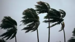 જવાદ વાવાઝોડું