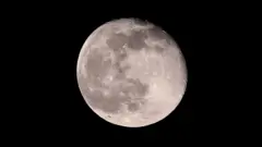 Ay