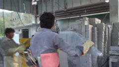 بونېر