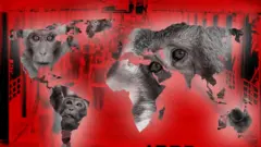 குரங்கு அம்மை வைரஸ்