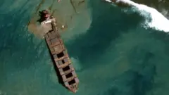 Satellite image shows tug boats and Japanese bulk carrier MV Wakashio