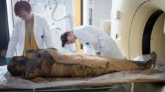 นักวิทยาศาสตร์ใช้เครื่องซีทีสแกนตรวจสอบร่างมัมมี่ "สตรีปริศนา"