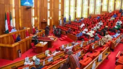 NIGERIAN SENATE