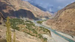 ترتک