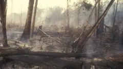 ජනාධිපතිවරණය