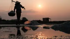 Các lãnh đạo đã để xảy ra rất nhiều vi phạm, khuyết điểm kéo dài trong công tác quản lý, sử dụng đất đai