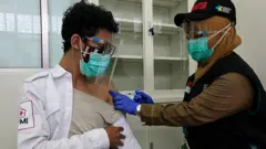 Covid-19 Indonesia, pandemi covid-19