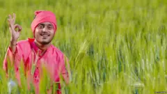 प्रातिनिधिक फोटो