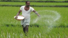 యూరియా కొరత తెలంగాణ రైతులు వ్యవసాయం