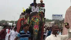 રથયાત્રાના હાથી