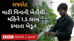 શિક્ષકની નોકરી છોડી બન્યા ખેડૂત, હાઇડ્રોપોનિકથી કરી ખેતી કમાય છે લાખો રૂપિયા