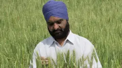 ਕਿਸਾਨ