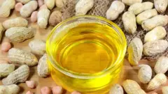 સિંગતેલ