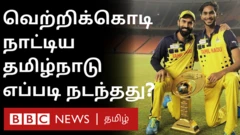 கிரிக்கெட்