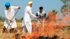 ਪਰਾਲ਼ੀ ਨੂੰ ਲੱਗੀ ਅੱਗ