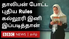 தாலிபன்