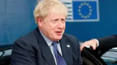 బోరీ జాన్సన్