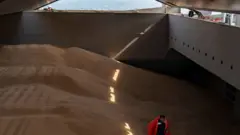 зерно