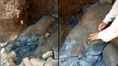 تخت باہی، بدھا، مجسمہ