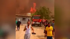حرائق الجزائر