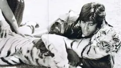 فلم خون پسینہ میں امیتابھ شیر سے لڑتے ہوئے
