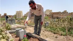 صنعاء