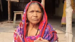 पद्मावती वाघ
