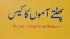 پاکستان