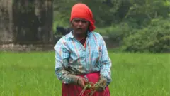 తస్లీమా