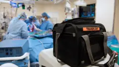 Equipe médica realizando procedimento ao fundo, e bolsa com a palavra 'transplante' em primeiro plano na imagem