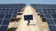 Van'da bir güneş enerjisi çiftliği