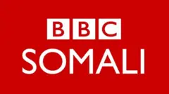 BBC