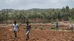 ተማሪዎች