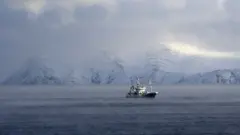 kuzey kutup bölgesi